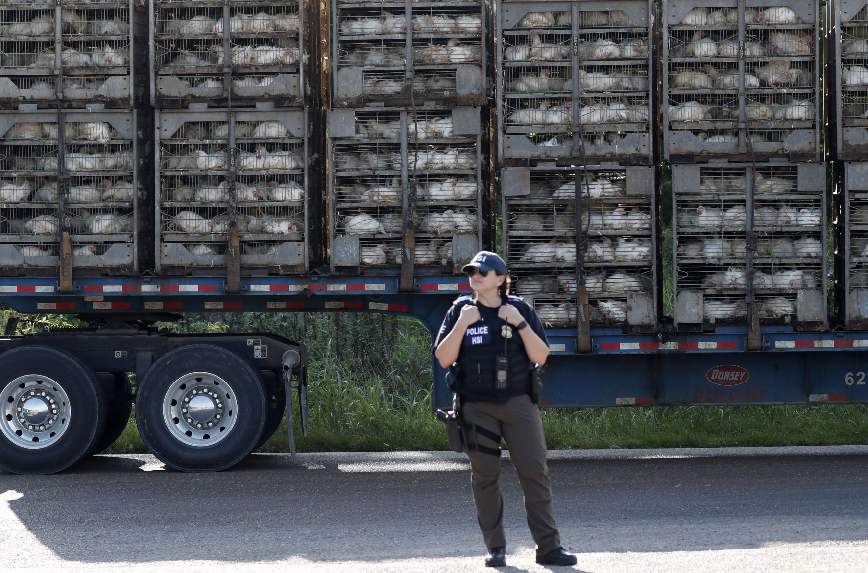 Immigration Food Plant Raids